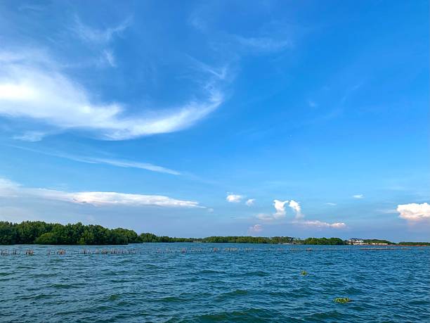 istock Sky blue ocean by beach background,Backdrop Summer nature banner Sunny day clear sky,cloud with light reflection on water texture 2218424047