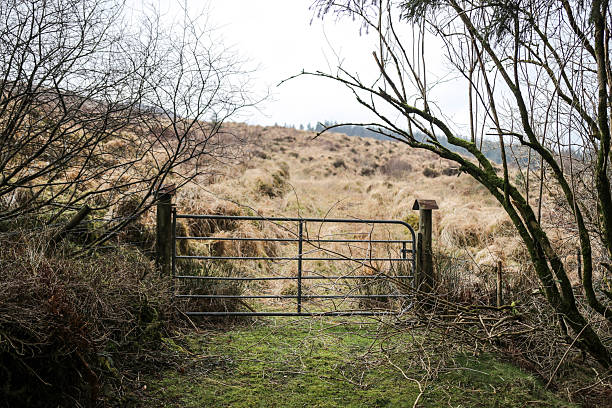 istock Rustic Gate Leading into a Dry Grassy Field in Early Spring 2218425241