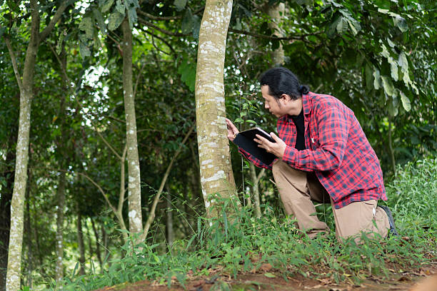 istock Eco technology concept young male checking tree conditions using smart tablet device in rainforest southeast asia jungle 2218425555