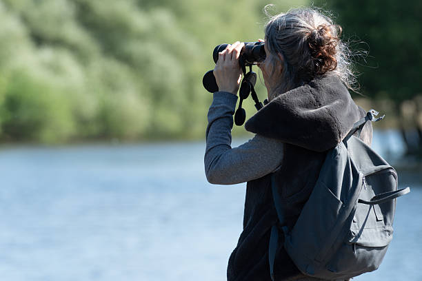 istock Woman birdwatching with binoculars near a lake 2218425952