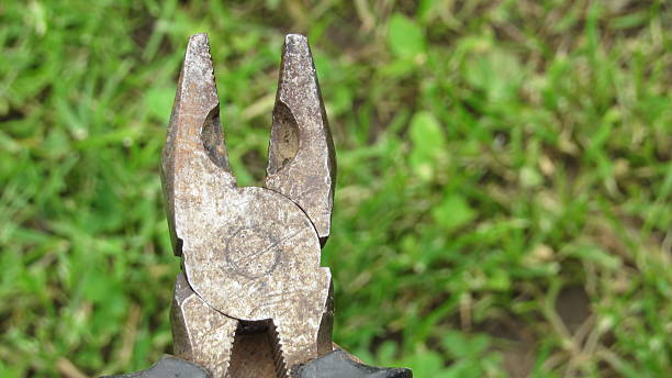 istock Rusty pliers resting on grass with blades exposed in a natural outdoor setting during daylight 2218429785