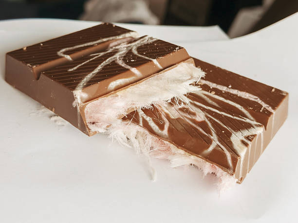 Gourmet chocolate dessert topped with delicate angel hair strands on solid background, minimalistic presentation of sweet and artistic confectionery