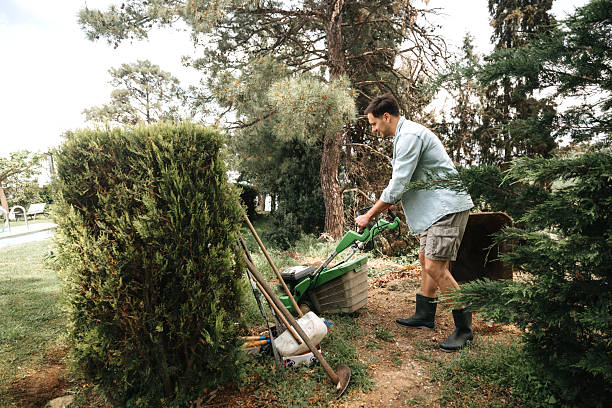 istock Young casually clothed man working at garden 2218436699