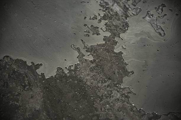 Motion study of bubbles in a mountain stream (1/50 second)