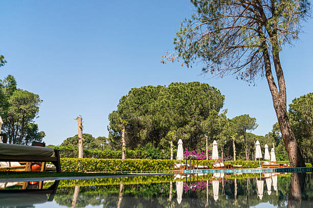 Luxury villas and swimming pool