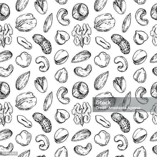 Nutshell Vector Nuts Seamless Vector Pattern Hand Drawn With Ink Ornament Of Graphic ...
