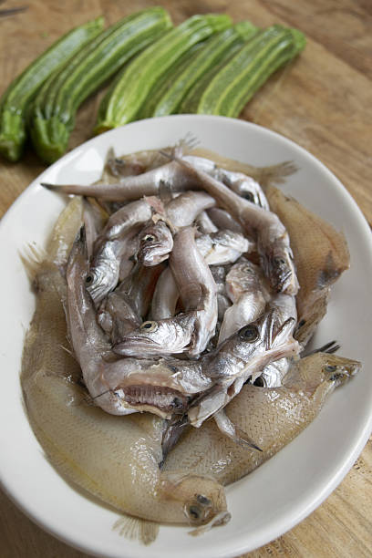 istock Fresh Fish with Zucchini on a White Plate  Mediterranean Cuisine 2218444647