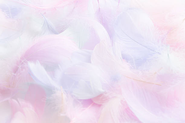 istock Fluffy feather background in pastel colors. Cute pink feathers. 2218445739