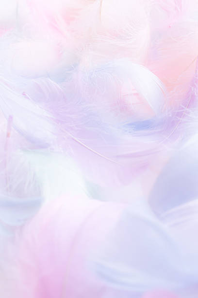 Fluffy feather background in pastel colors. Cute pink feathers.