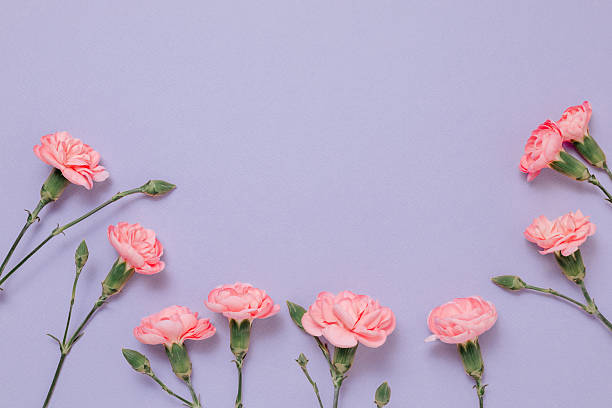 istock Frame with pink carnation flowers with copy space 2218446622
