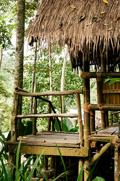 istock Traditional Bamboo Hut with Thatch Roof in Lush Tropical Forest Setting 2218448345