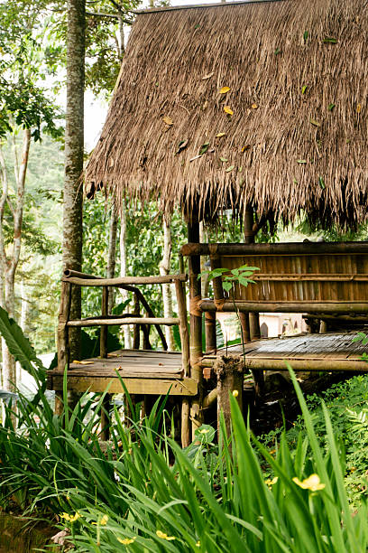 istock Traditional Bamboo Hut with Thatch Roof in Lush Tropical Forest Setting 2218448347