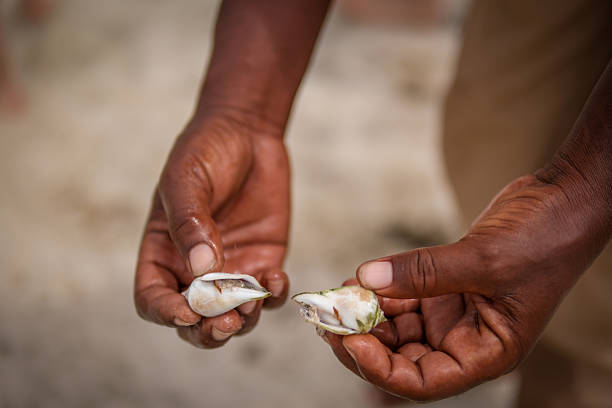 Close-up of a man’s hands holding freshly cracked seafood shells, likely crab or shellfish, prepared by the beach in Keny
