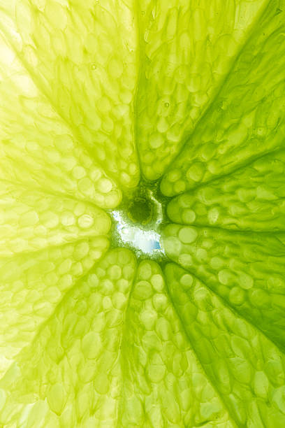 istock Close-up macro lemon texture,texture of lime fruit background close-up macro. Fruit in water under water 2218451505