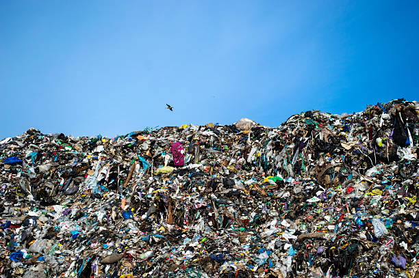 istock A mound of trash looms under a blue sky, emphasizing the urgent issues of pollution and waste management 2218456903