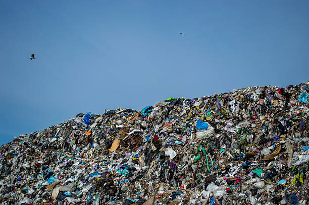 istock A sprawling landfill is filled with various types of garbage, reflecting the environmental challenges of waste management and pollution 2218456911