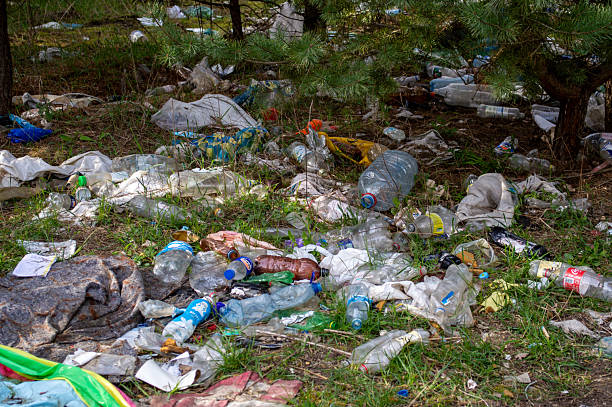 istock Litter covers the ground in a forest, featuring plastic bottles, bags, and other waste, highlighting environmental pollution issues 2218456935