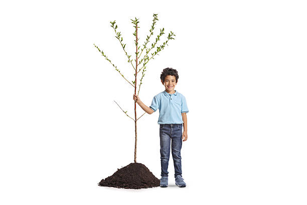 istock Asian boy holding a young tree, plant a tree and save the earth concept 2218460829
