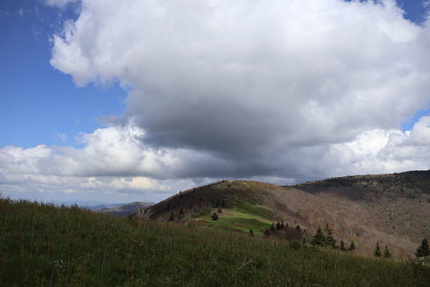istock Foothills of Roan Mountain 2218460920