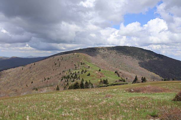 istock Foothills of Roan Mountain 2218460977