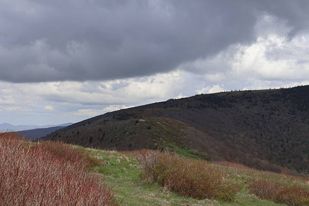 istock Foothills of Roan Mountain 2218460988