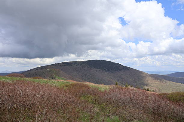 Foothills of Roan Mountain