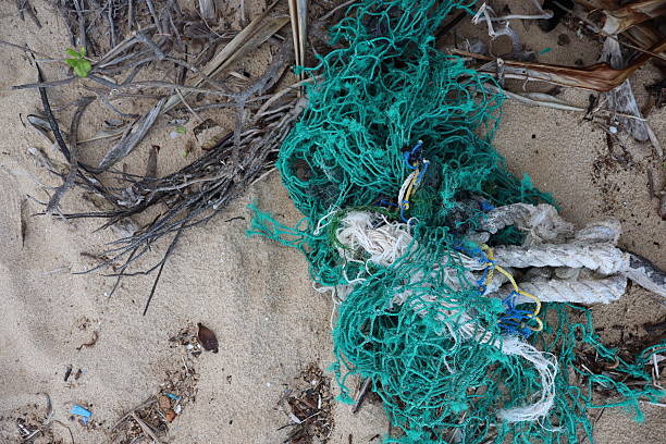 istock Fishing Netting Washed Up on Beach 2218461156