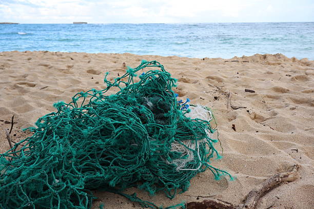 istock Fishing Gear Washed Up on Beach 2218461160