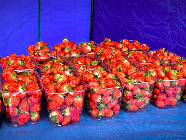 Strawberry boxes of freshly picked strawberries. fresh strawberries on the market in boxes
