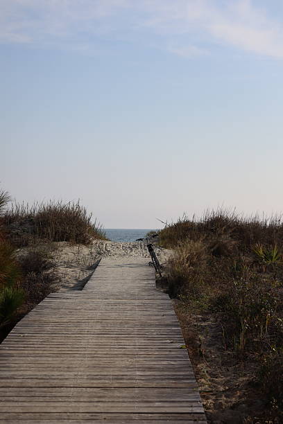 istock Bike on a Path to the Ocean 2218462558