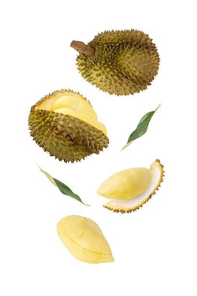 istock Falling Durian isolated on white background with clipping path, full depth of field 2218467368
