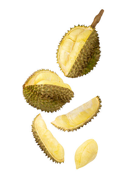 istock Falling Durian isolated on white background with clipping path, full depth of field 2218469358