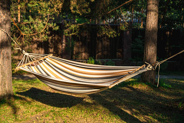 istock Striped hammock swaying gently between two trees in a shady garden, creating a serene spot for relaxation and leisure on a sunny summer afternoon, inviting moments of peace and comfort 2218478276