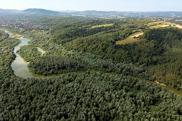 istock River and green forests from above 2218479086