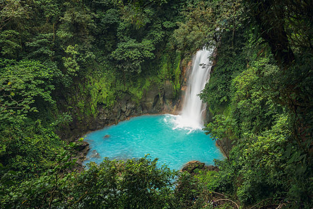 istock Rio Celeste -National Park Tenorio - Costa-Rica 2218479328