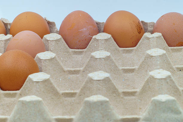 istock Chicken eggs, brown shells are arranged in a recycled cardboard carton. Some eggs show traces of dirt and feathers, suggesting their organic, natural farm production. Ideal for cooking, baking recipes 2218479890