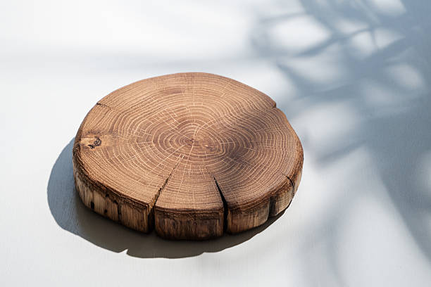 istock Round Wooden Slice with Sunlight and Shadows on White Surface 2218480921