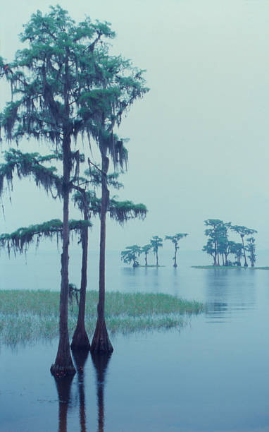 istock rainy day on Lake Santa Fe 2218483184