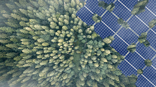 istock Solar panels installed in the green forest Clean alternative energy concept. Environment, solar energy, generator. 2218483374