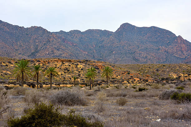 hilly landscape near the coast in bolnuevo mazarron murcia spain