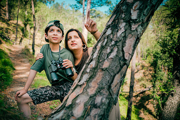 An Indian mother and son enjoy birdwatching in a sunlit pine forest. The boy holds binoculars while his mother points toward the treetops. They share a moment of discovery and exploration outdoors.