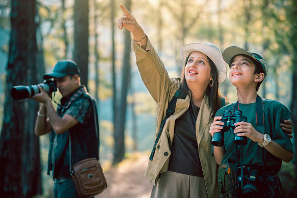 istock Family's birdwatching expedition in a sunlit forest. 2218486221