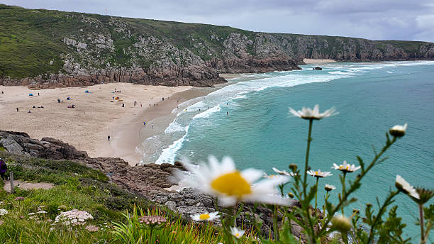 istock View past flowers to beach and rugged headland 2218486613