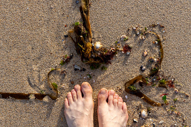 istock Bare Feet on Sandy Beach with Seaweed 2218493775