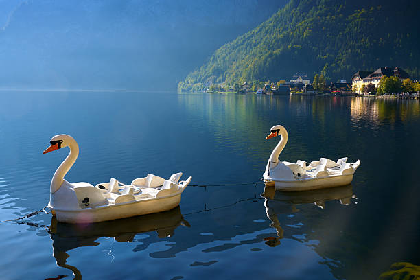 istock Swan Paddle Boats Hallstatt Austria 2218495874