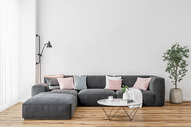 Modern interior: a living/waiting room with a sofa, coffee table, white accent wall background and decoration