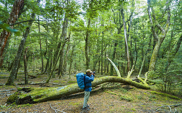 istock Hiker photographing wild, capturing nature's beauty. 2218500701