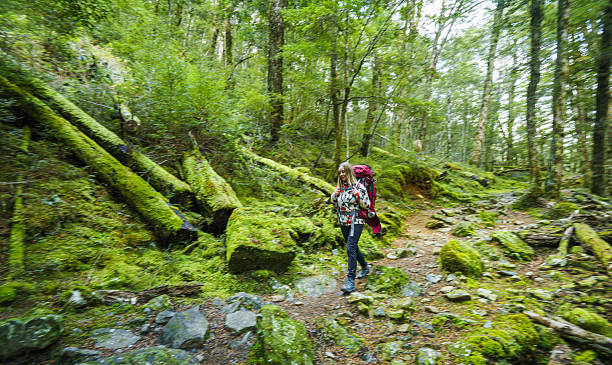 istock Hiker on scenic wilderness trail. 2218500723