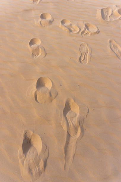 Fresh human footprints on dry sand in sunny summer day. Go forward. Empty place for text, quote or sayings. Top view.