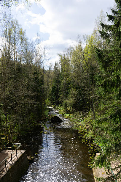 istock Spring Forest River Flowing Through Lush Green Woodland with Sunlight and Shadows 2218502232